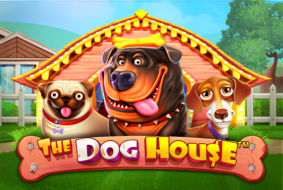 The dogs house